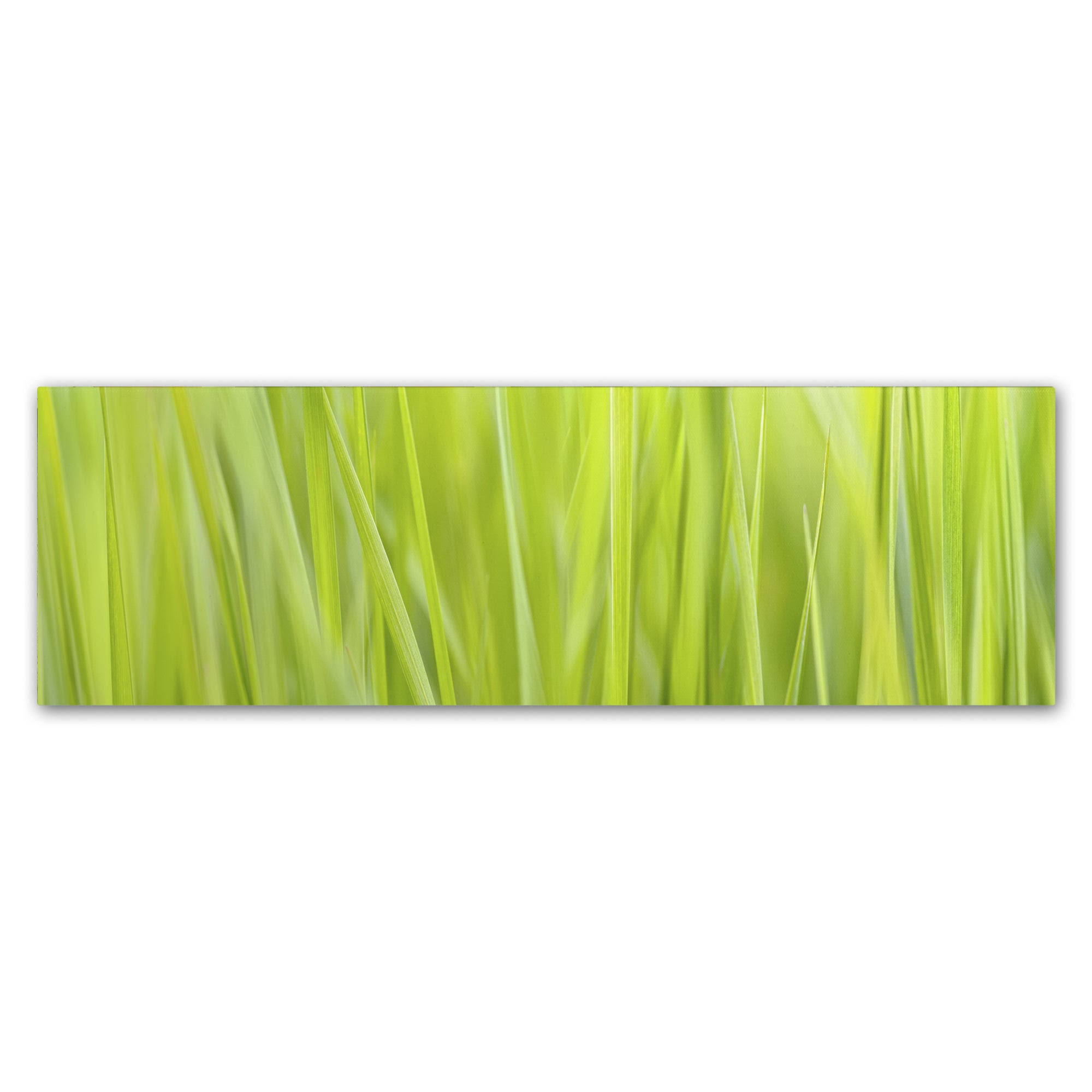 Trademark Fine Art Ali1847-C1032Gg Cora Niele 'Green Grass Scape' DWY552_ZCAF Trademark Fine Art Ali1847-C1032Gg Cora Niele 'Green Grass Scape' DWY552_ZCAF