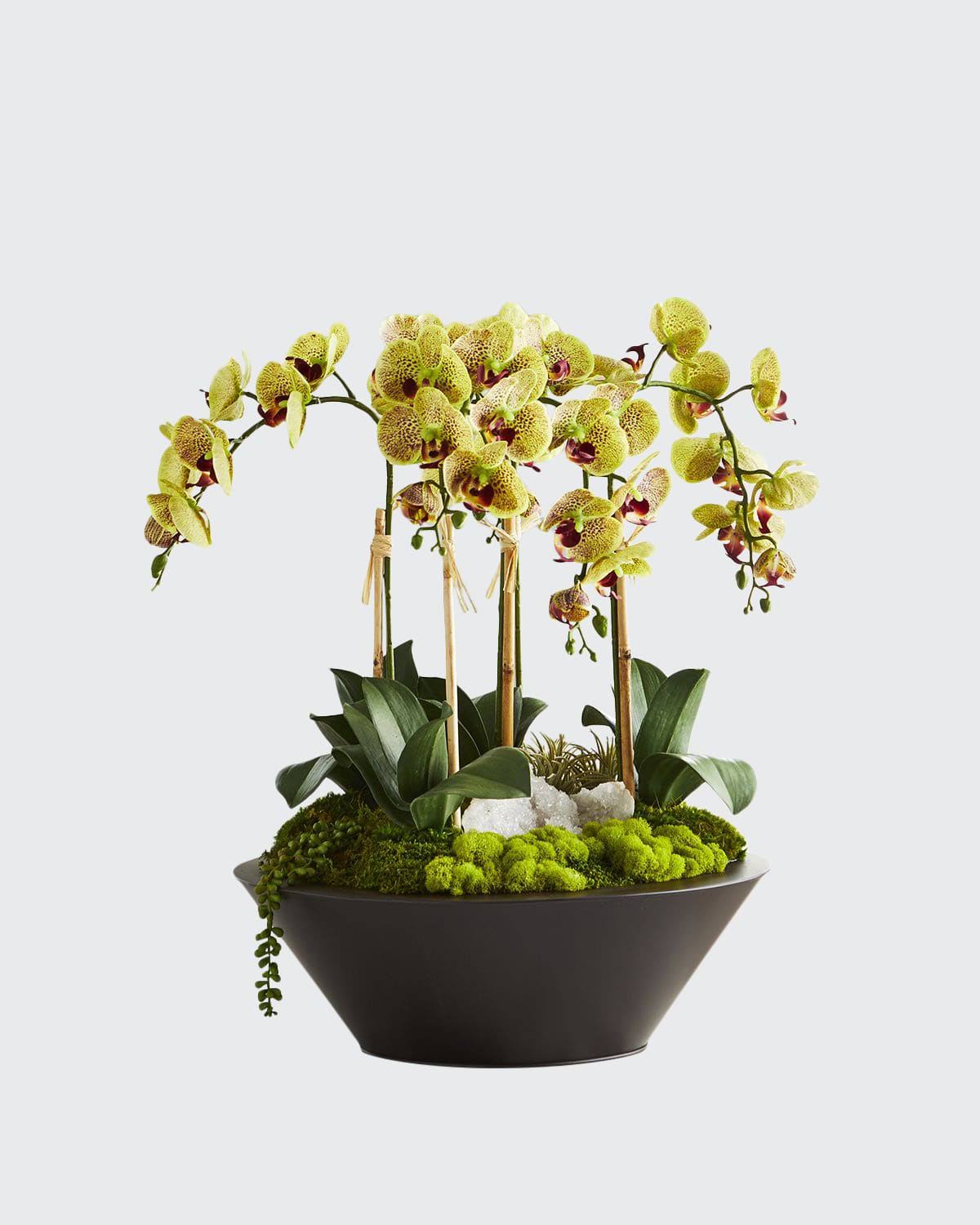T C Floral Company Orchids Geode in Round Metal Container, Green, Faux Plants Florals Faux Fake Plants 85TBOU_VVCN T C Floral Company Orchids Geode in Round Metal Container, Green, Faux Plants Florals Faux Fake Plants 85TBOU_VVCN