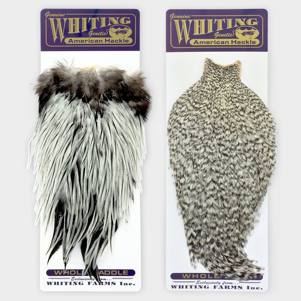 Whiting Farms | American Rooster Cape - Grizzly Dyed XFDEZM_TCRE Whiting Farms | American Rooster Cape - Grizzly Dyed XFDEZM_TCRE