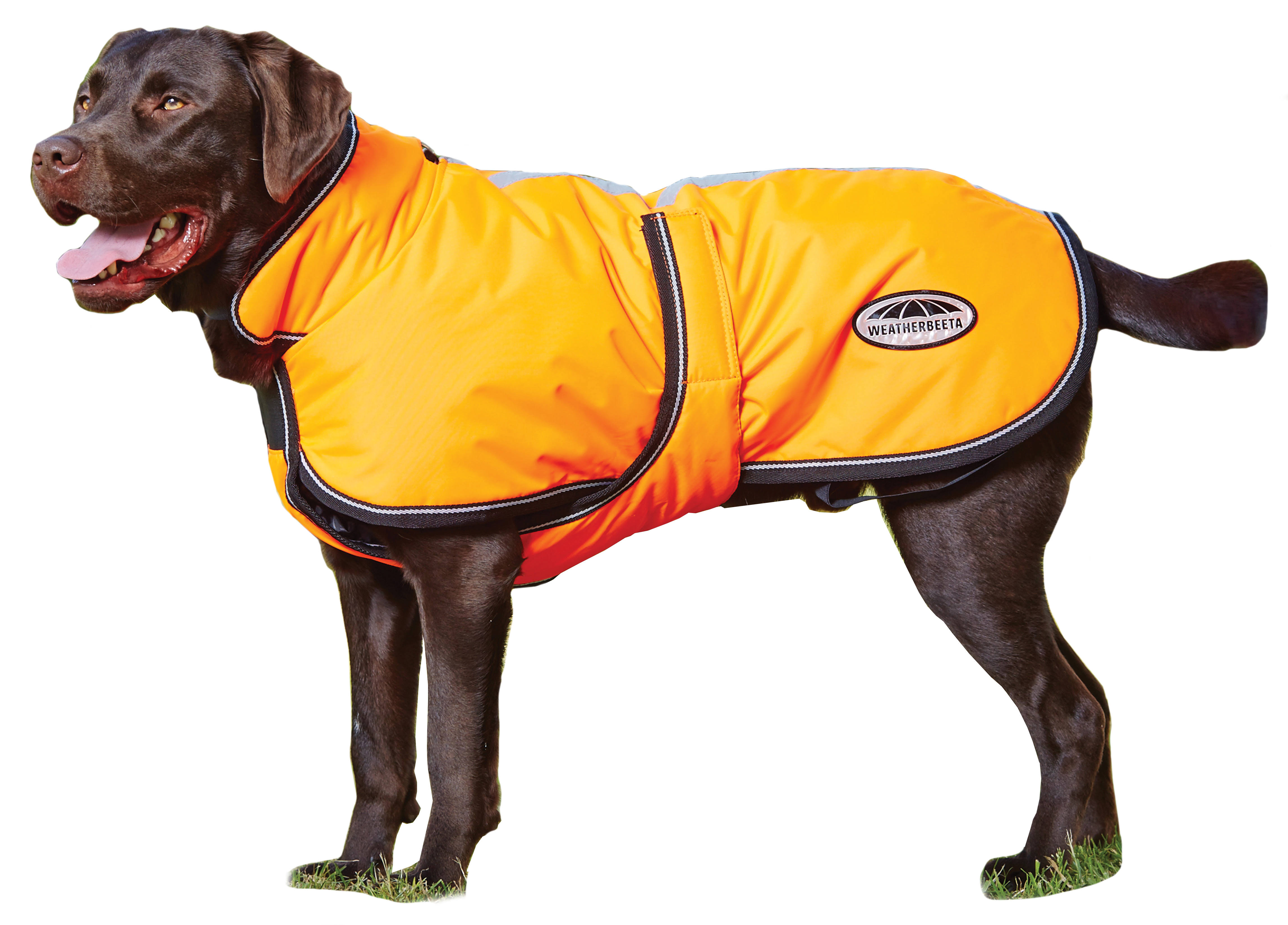 Weatherbeeta Reflective Parka 300D Deluxe Dog NE8EBH_TFDS Weatherbeeta Reflective Parka 300D Deluxe Dog NE8EBH_TFDS