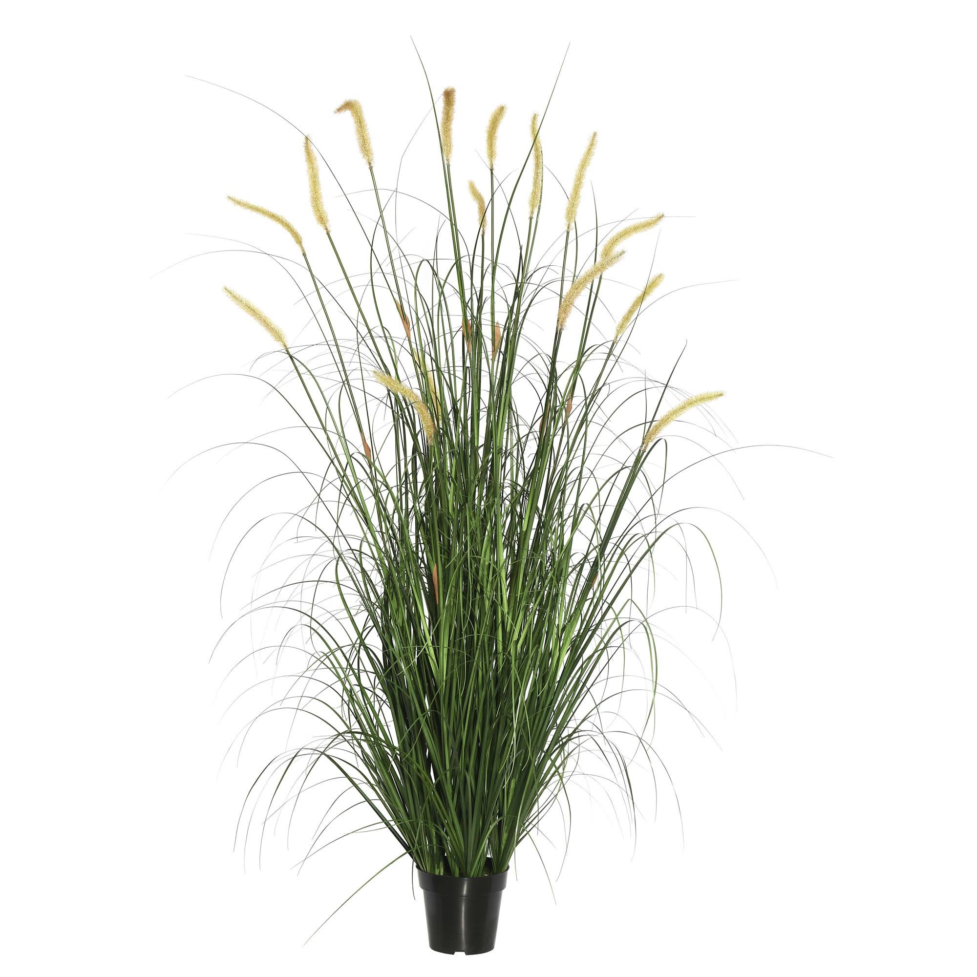 Vickerman 2C6FEY_YVR8 Vickerman 2C6FEY_YVR8