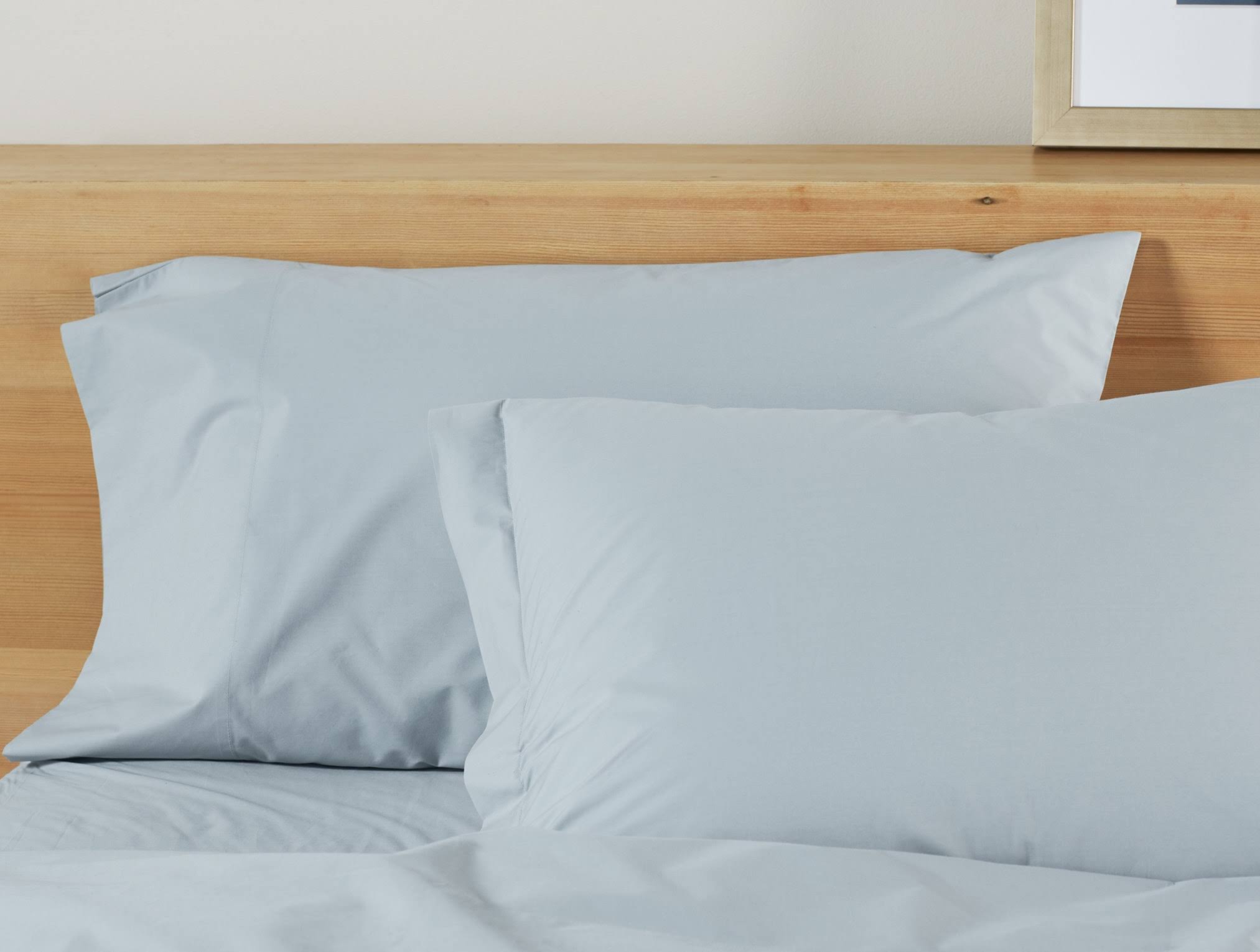 Coyuchi | 300 Thread Count Organic Percale Standard Sham Stone MPDQ3T_QX9X