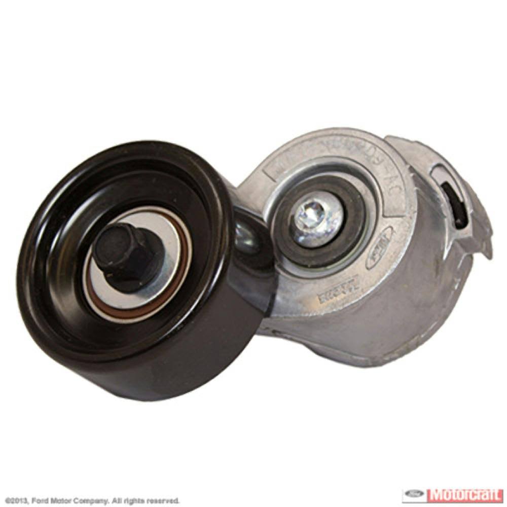 Motorcraft Belt TMNLKF_Q9KY Motorcraft Belt TMNLKF_Q9KY