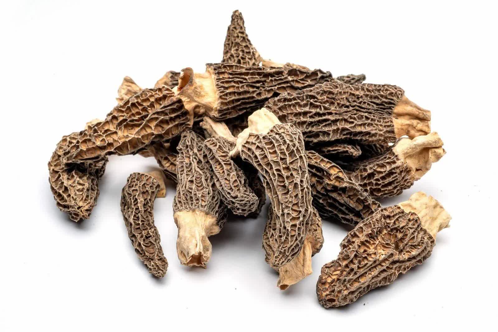 Dried Morel Mushrooms, Wild XPHSMN_GAHR Dried Morel Mushrooms, Wild XPHSMN_GAHR