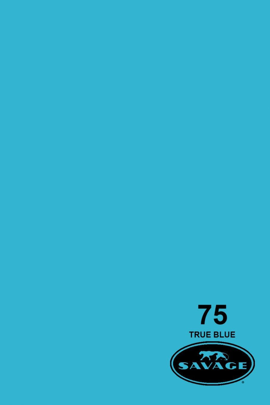 Savage Seamless Background Paper - #75 True Blue 2CWUWG_SEA0 Savage Seamless Background Paper - #75 True Blue 2CWUWG_SEA0