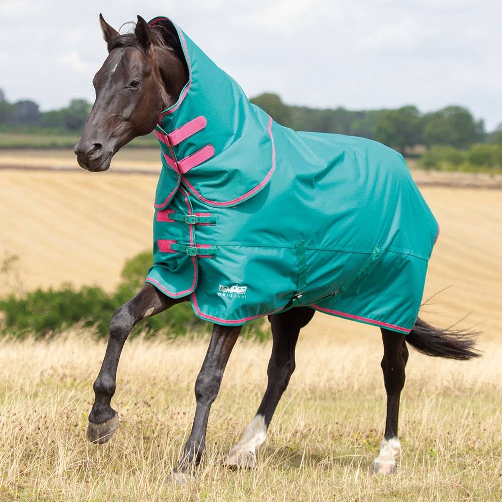 Shires Tempest Original 100 Detachable Neck Turnout Rug - Green/3UJGBI_MYHW Shires Tempest Original 100 Detachable Neck Turnout Rug - Green/3UJGBI_MYHW