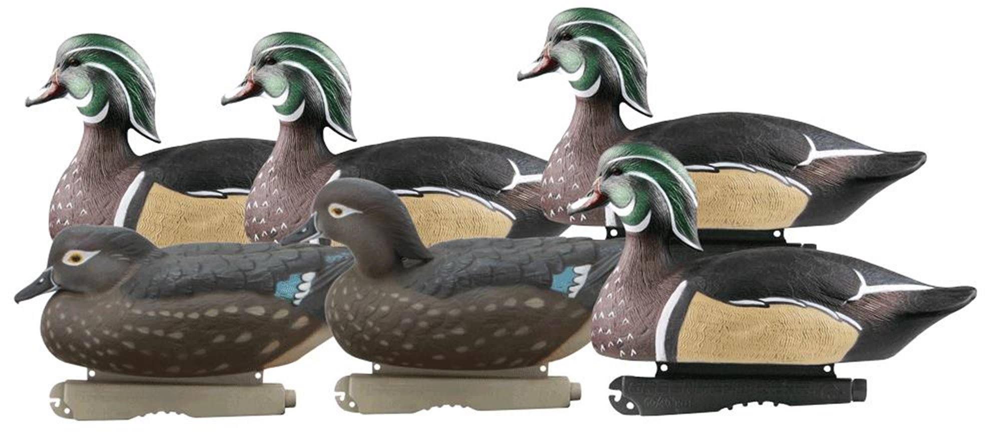 Greenhead Gear Life-Size Wood Duck Decoys - 6 SJU2Q5_7DZB Greenhead Gear Life-Size Wood Duck Decoys - 6 SJU2Q5_7DZB
