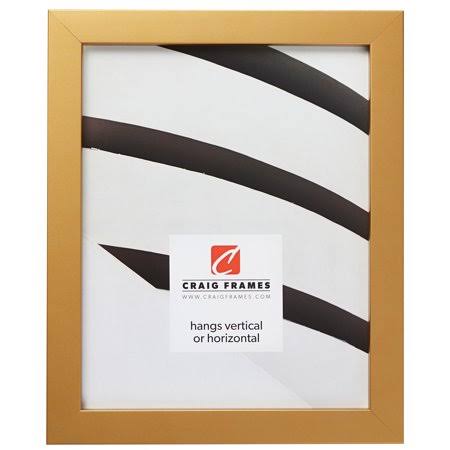 Craig Frames Confetti, 14x18 inch Picture Frame, Modern Gold, Size: 14 x OPQZJQ_0WDH Craig Frames Confetti, 14x18 inch Picture Frame, Modern Gold, Size: 14 x OPQZJQ_0WDH