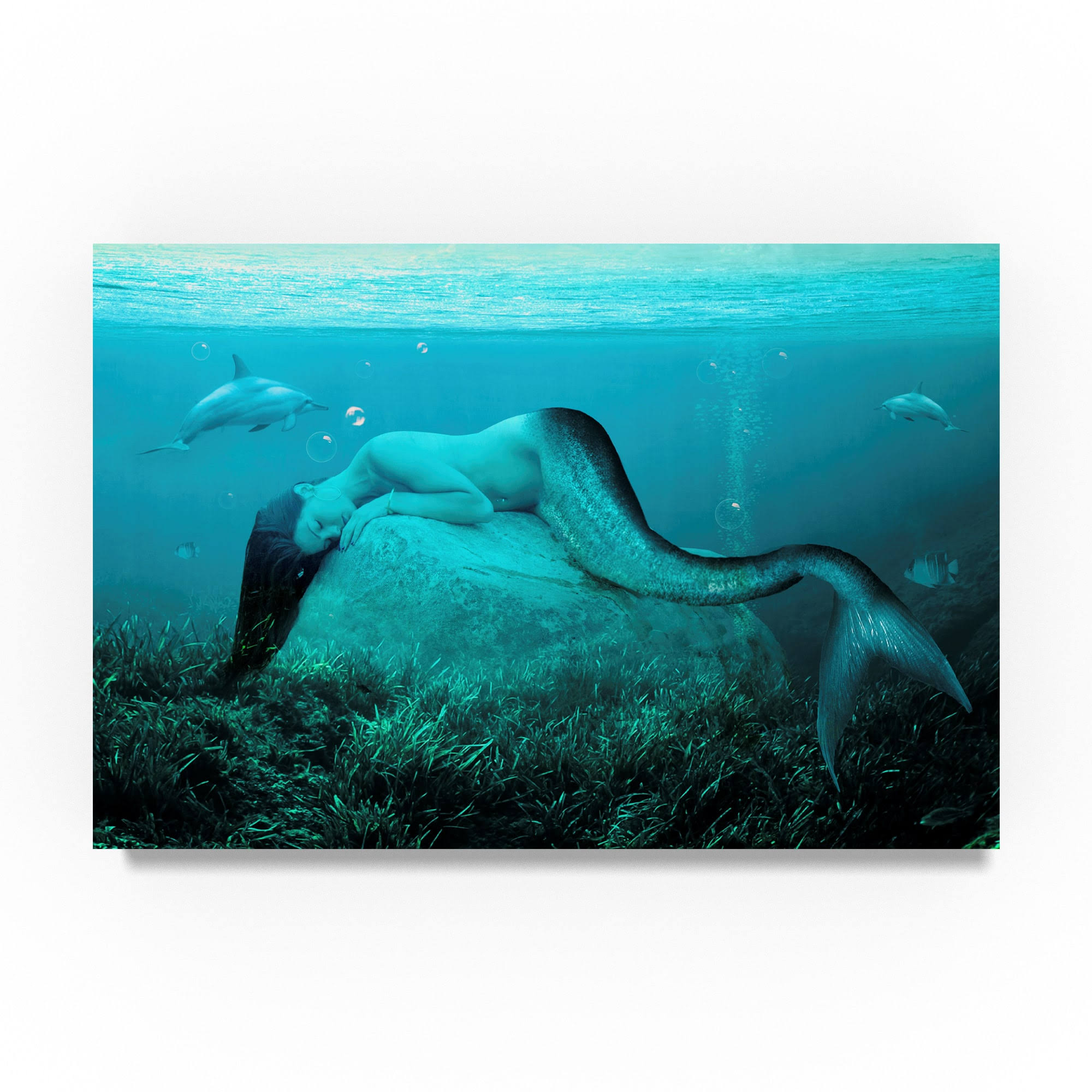 Trademark Fine Art Ali22223-C3047Gg ATA Alishahi 'Sleeping Mermaid' TNXJ8P_RUOH Trademark Fine Art Ali22223-C3047Gg ATA Alishahi 'Sleeping Mermaid' TNXJ8P_RUOH