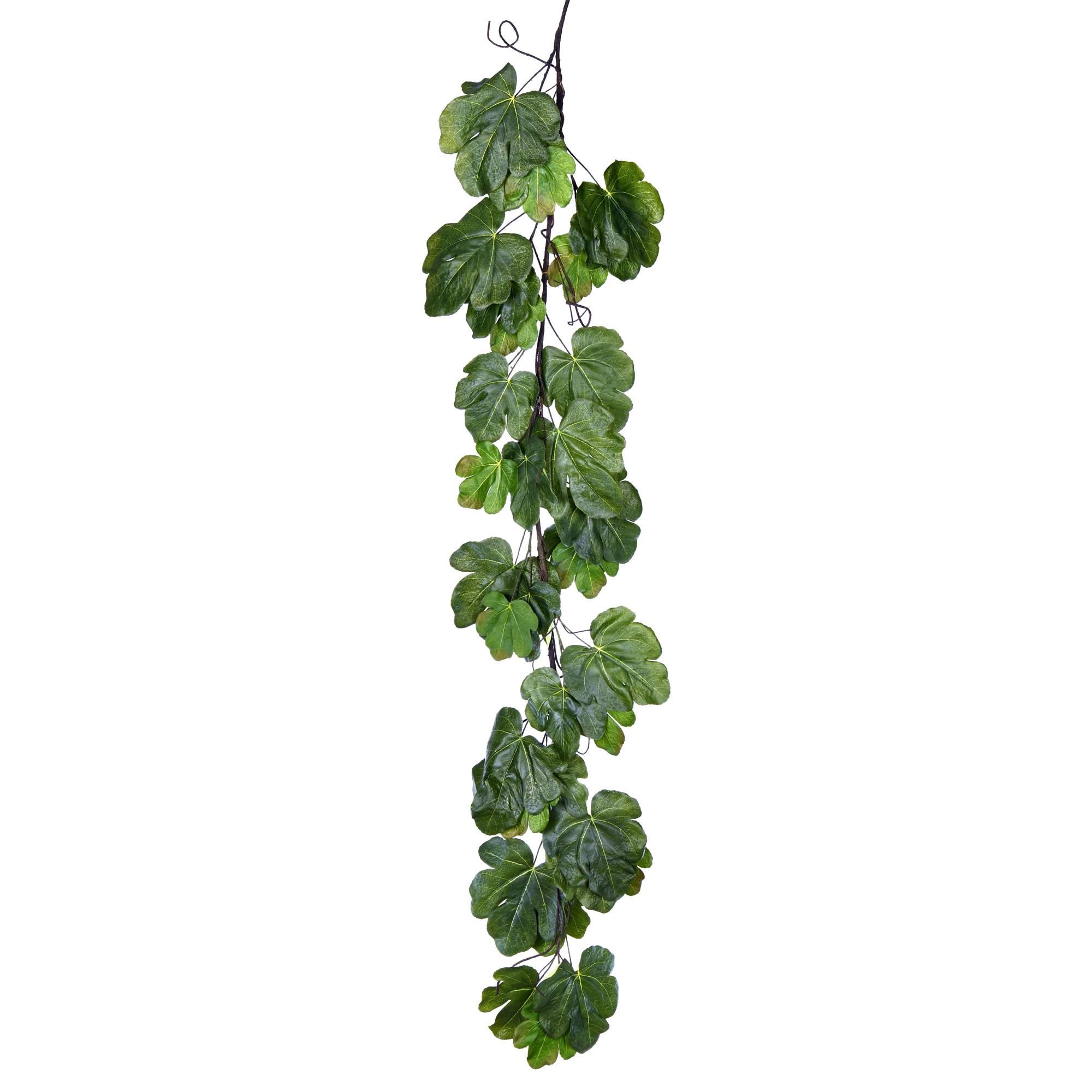 Vickerman FT190612 BYVQKU_6QPJ Vickerman FT190612 BYVQKU_6QPJ