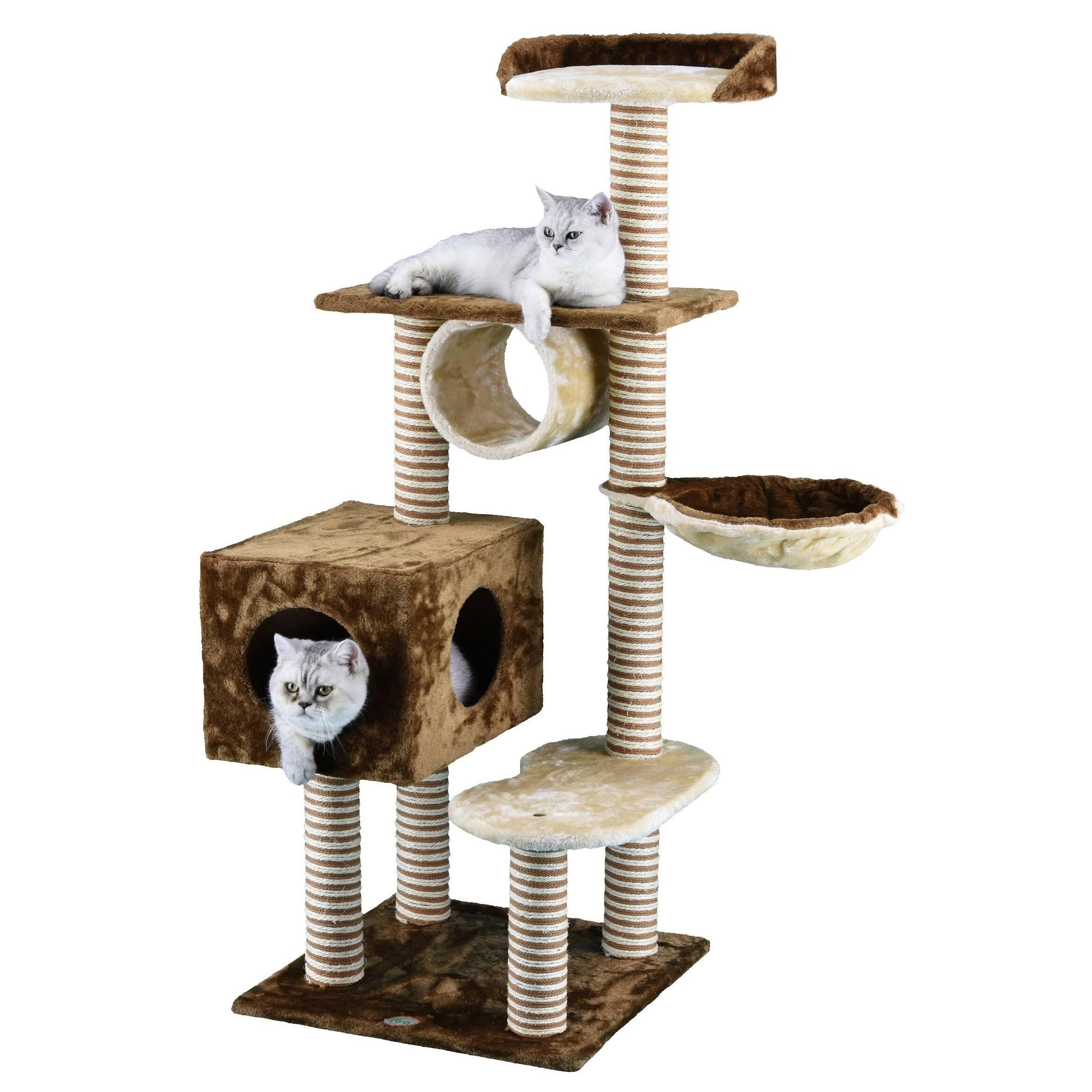 Go Pet Club 55.75 in. Cat 1SYLJ1_JEYL