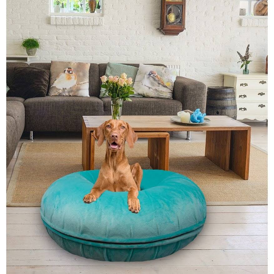 Bessie and Barnie Signature Aqua Marine Luxury Extra Plush Faux Fur Bagel Pet/ Dog Bed, Size XL - 50 NUYEU5_RDFQ Bessie and Barnie Signature Aqua Marine Luxury Extra Plush Faux Fur Bagel Pet/ Dog Bed, Size XL - 50 NUYEU5_RDFQ