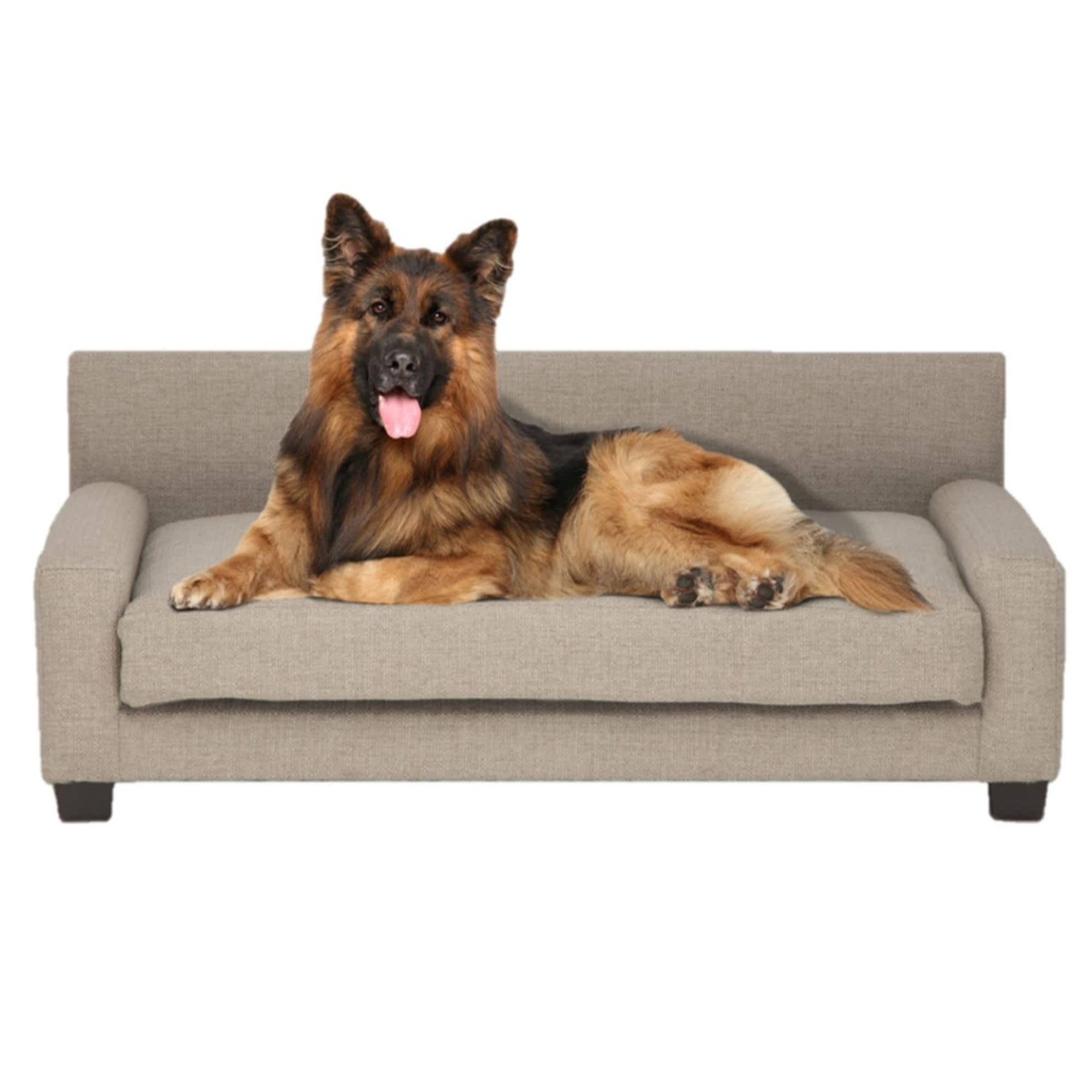 Club Nine Pets Metro Orthopedic Dog Bed, Large / GKAGBR_PIQX Club Nine Pets Metro Orthopedic Dog Bed, Large / GKAGBR_PIQX