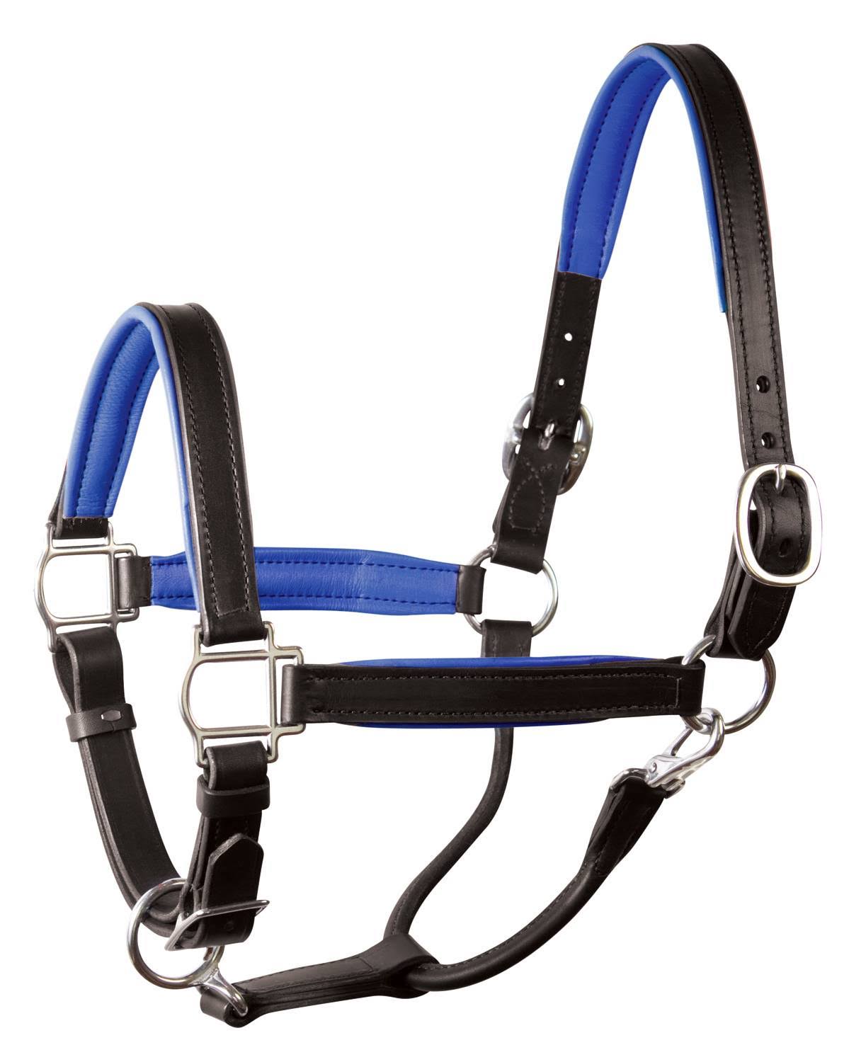 Perri's Soft Padded Leather Halter, Black/YWJUTH_JZZJ Perri's Soft Padded Leather Halter, Black/YWJUTH_JZZJ