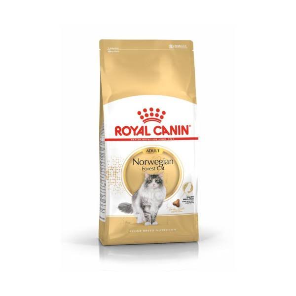 Royal Canin - Dry Cats Adult Norwegian 10 QRRWXE_IFSY Royal Canin - Dry Cats Adult Norwegian 10 QRRWXE_IFSY