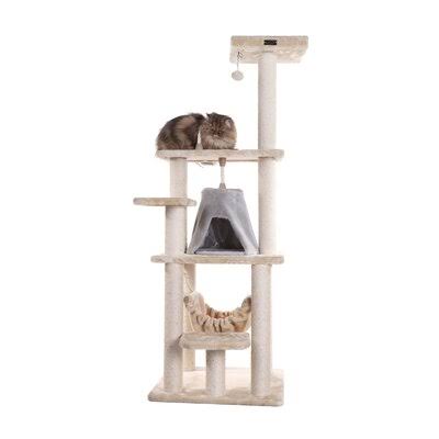 Archie Oscar 65'' Chance Cat EMJDQT_UXDG Archie Oscar 65'' Chance Cat EMJDQT_UXDG