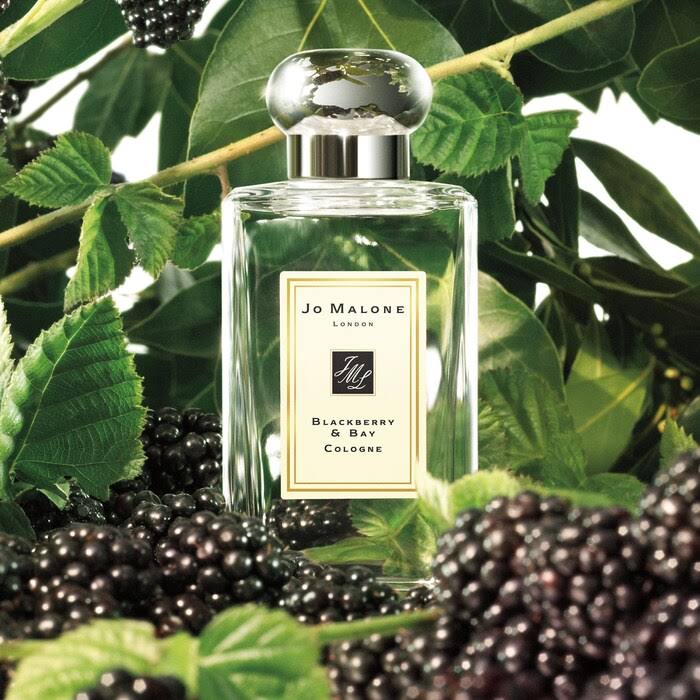 Jo Malone London Blackberry Bay Cologne 3.4 oz/ 100 ml QGRETX_8PBO Jo Malone London Blackberry Bay Cologne 3.4 oz/ 100 ml QGRETX_8PBO
