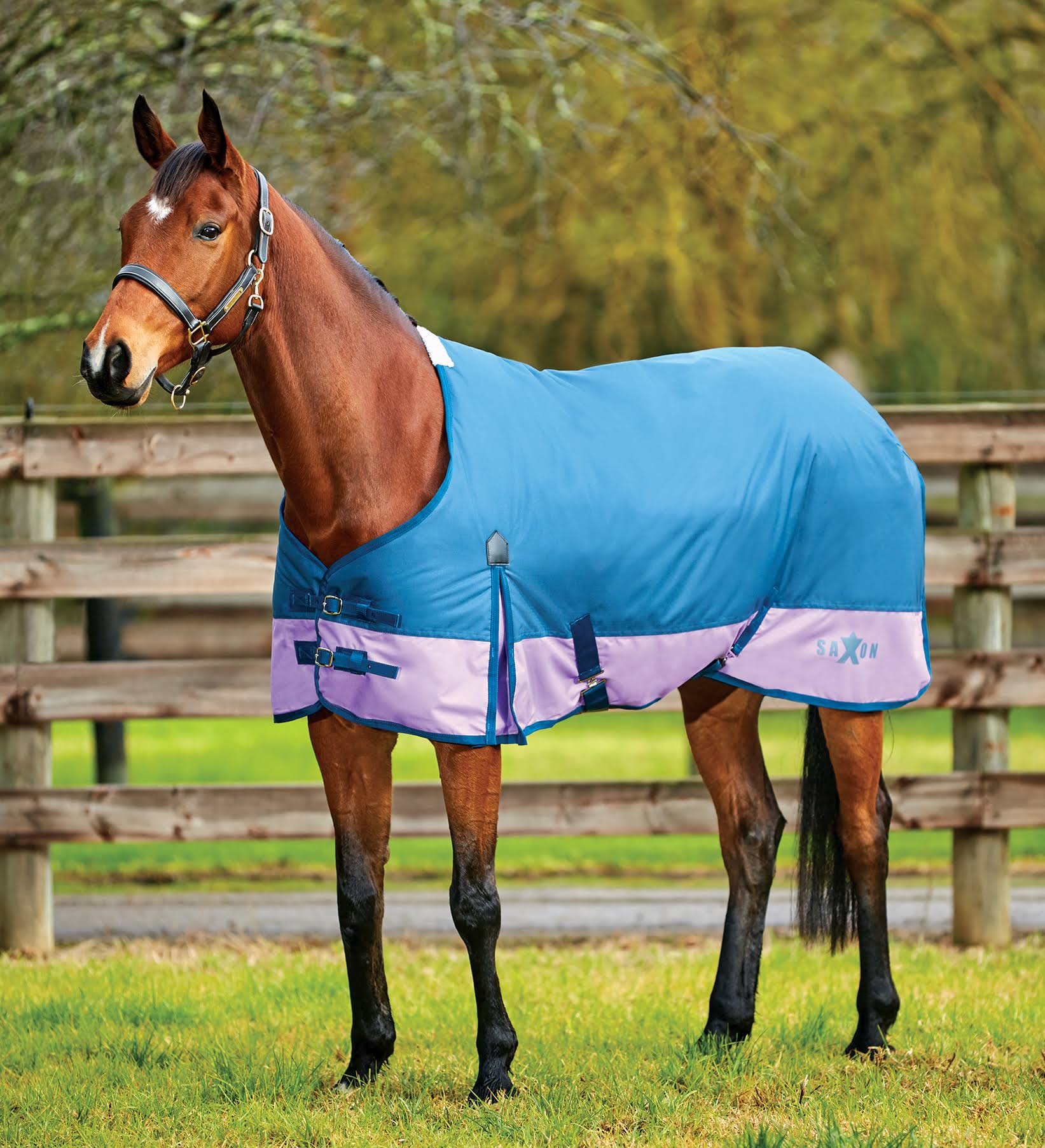 Saxon 600d with Gusset Standard Neck Medium 5AQ6QK_SYEB Saxon 600d with Gusset Standard Neck Medium 5AQ6QK_SYEB