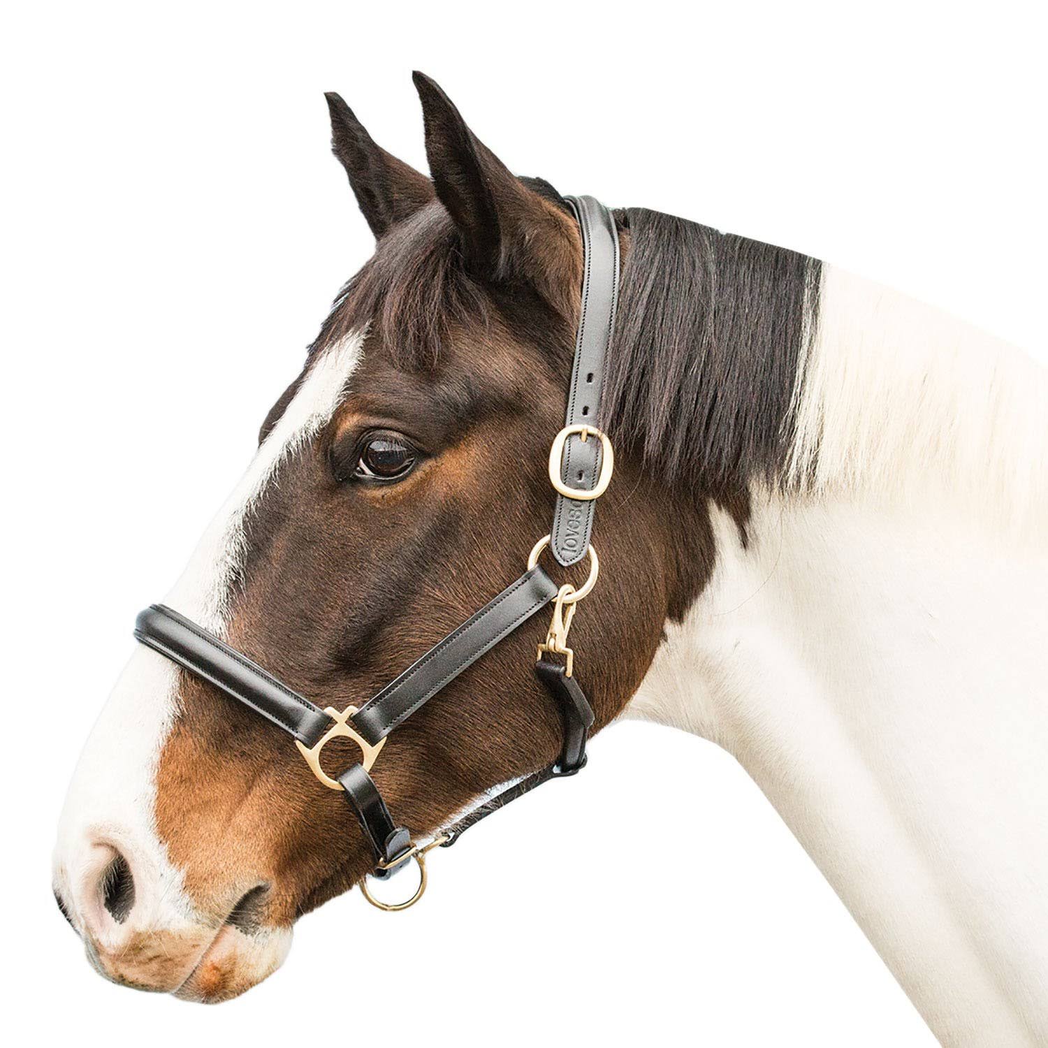 Loveson Leather Halter - A2LYJ5_KQ6K Loveson Leather Halter - A2LYJ5_KQ6K