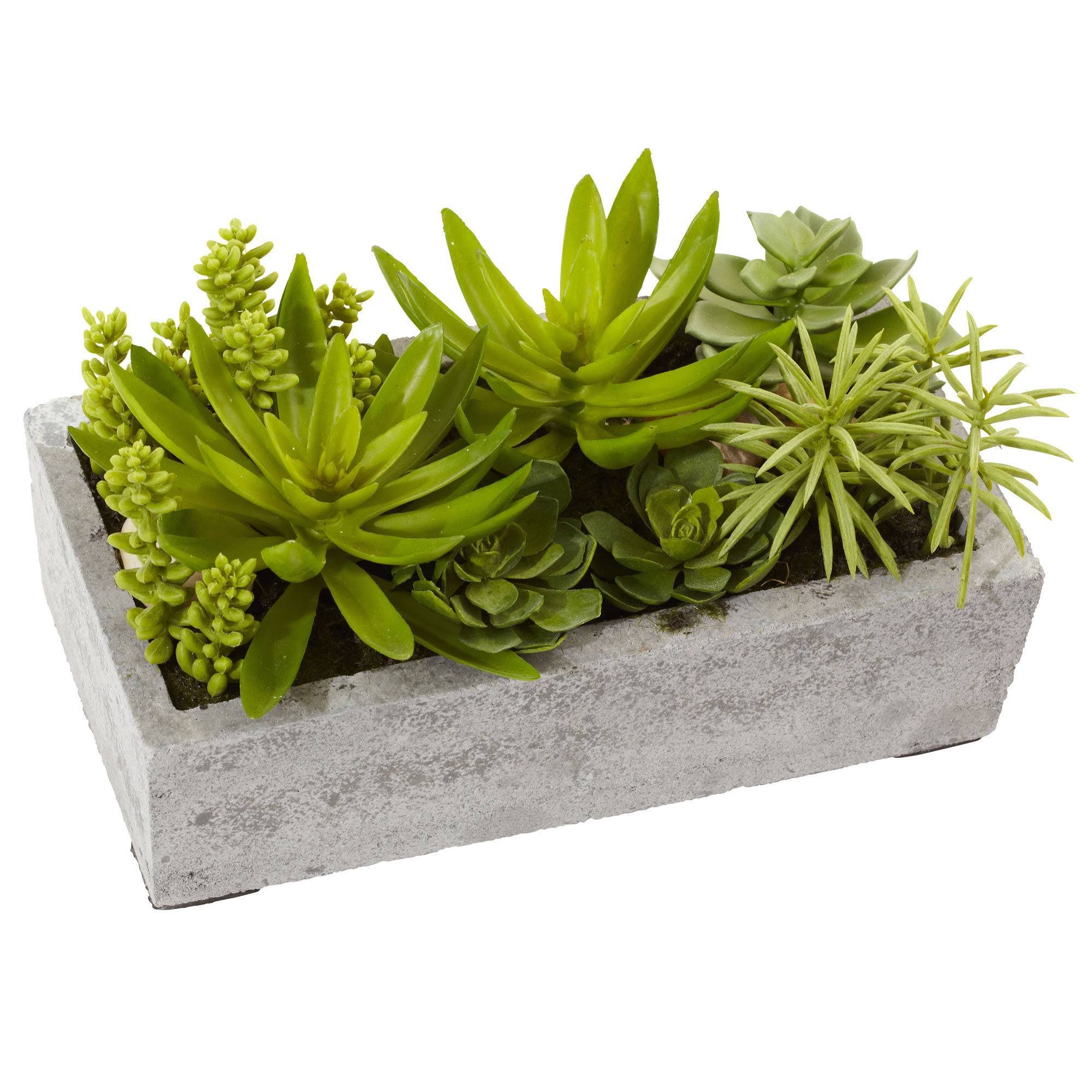 Nearly Natural Succulent Garden with Concrete GWDYJB_2DET Nearly Natural Succulent Garden with Concrete GWDYJB_2DET