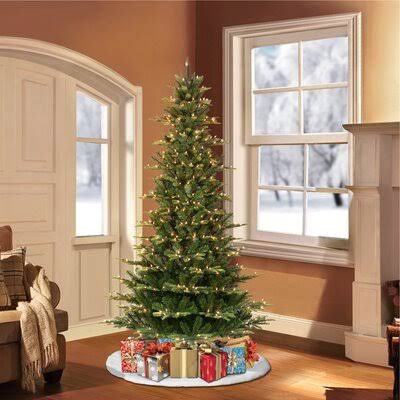 Pre-Lit Slim Aspen Green Fir Artificial Christmas Tree with Warm White Lights The Holiday Aisle Size: 6.5' 2AFVVG_CP8M Pre-Lit Slim Aspen Green Fir Artificial Christmas Tree with Warm White Lights The Holiday Aisle Size: 6.5' 2AFVVG_CP8M