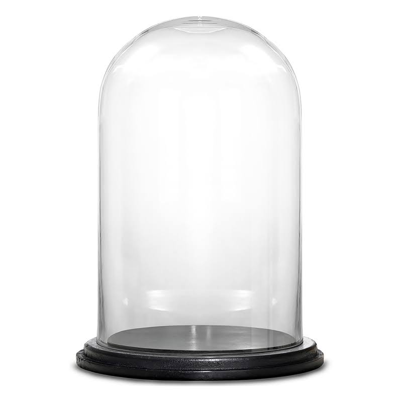CYSExcel Decorative Glass Dome Bell Jar with Wood FZAW5Y_VXCF CYSExcel Decorative Glass Dome Bell Jar with Wood FZAW5Y_VXCF